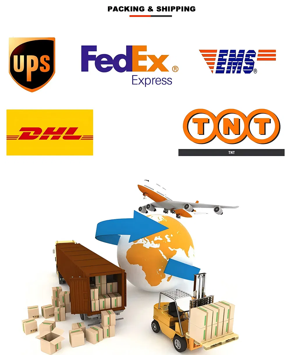 Hot Sales Bathroom Shower Accessories Shower Head Extension with Shower Arm