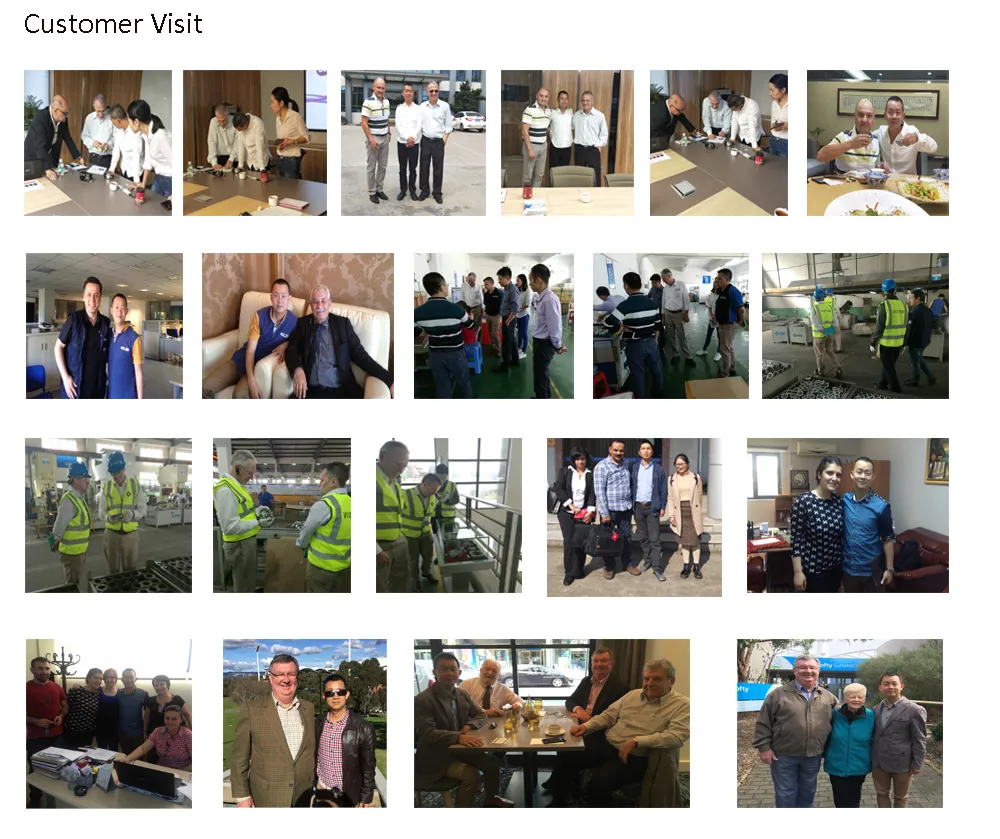 Electrical AC Table PMDC Motor for Massager/Hair Dryer/Vaccum Cleaner Motor