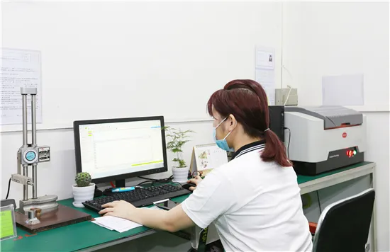 High Precision Micro DC Brushes Coreless Motor for Hair Dryer