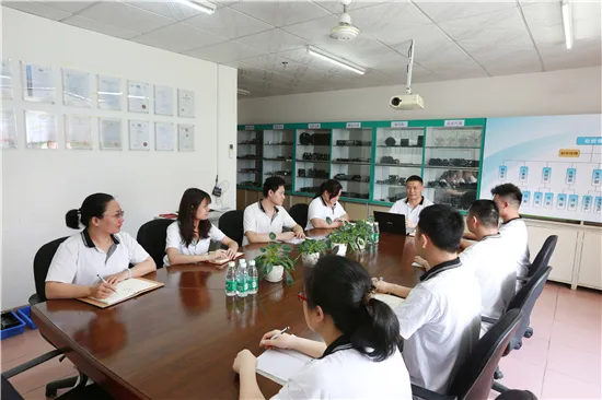 High Precision Micro DC Brushes Coreless Motor for Hair Dryer