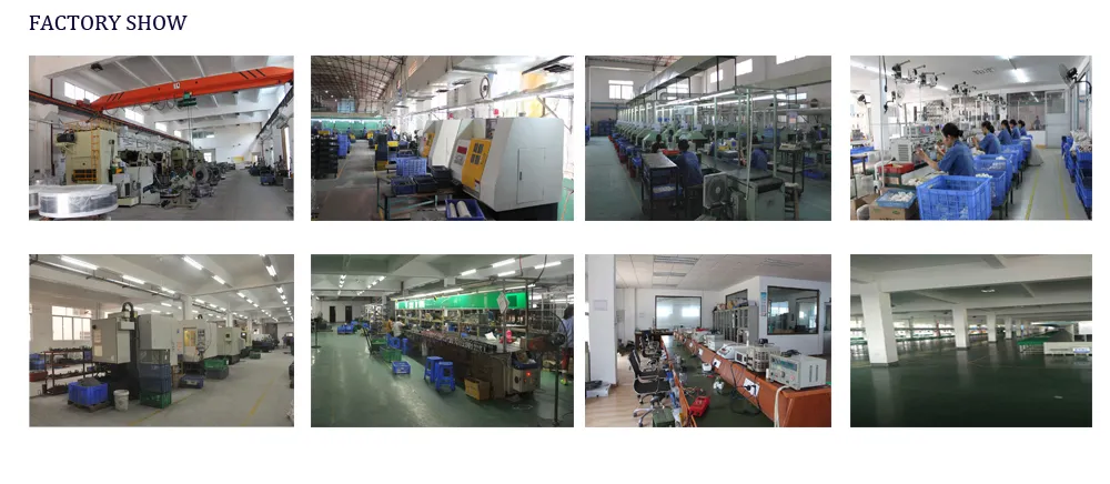 Electric PMDC Motor RS-545 DC Motor for Hair Dryer/Circular Saw Motor