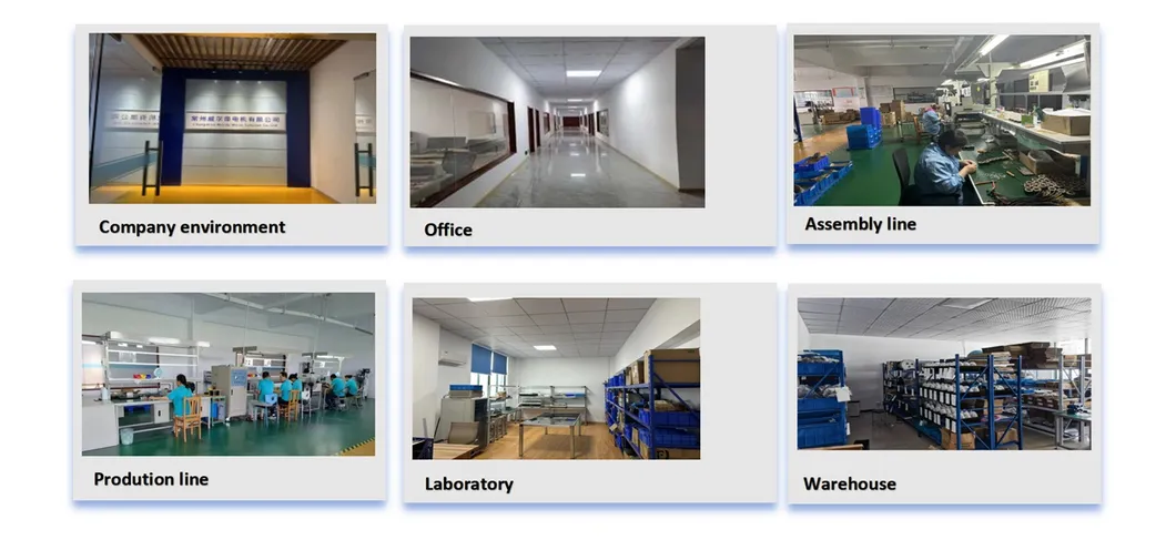 PC-Wm10f-1012va Micro Precious Metal Brush DC Motor/ Planetary Gear-Box Motor for Smart Locks, Personal Care