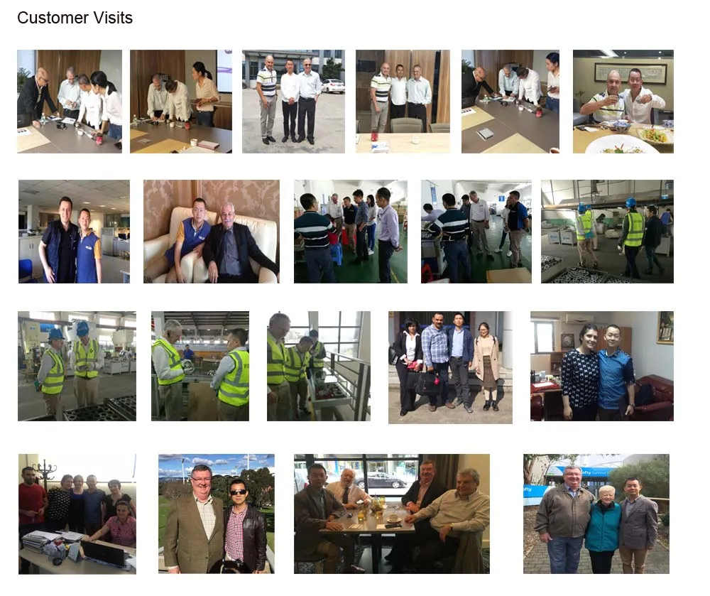 AC Electric Motor for Rotisserie