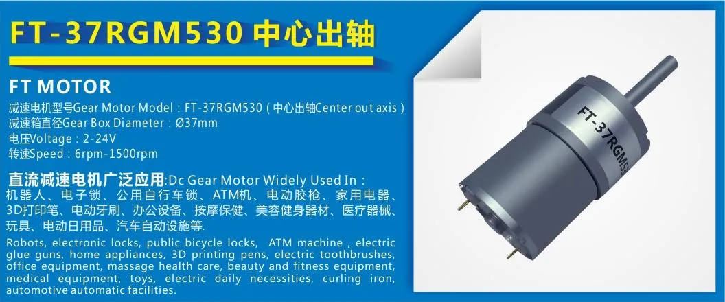 OEM Good Quality Low Noise High Power 12/24V DC Geared Motor for Electric Massage Equipment/Fitness Equipment