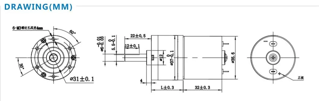 OEM Good Quality Low Noise High Power 12/24V DC Geared Motor for Electric Massage Equipment/Fitness Equipment