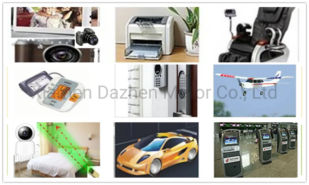 24V 4200rpm Motor with Low Noise for Hair Dryer