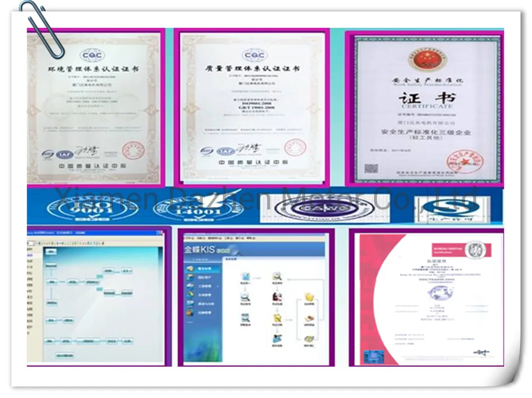 24V 4200rpm Motor with Low Noise for Hair Dryer