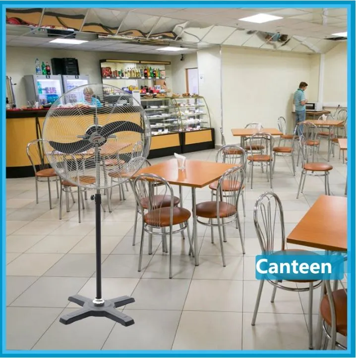 Basic Customization 20&quot; Industrial Stand Fan 3 Blades with CB / CE Certificate