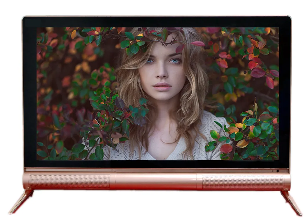 22 26 32 42 55 Inch Flat Screen Touch Screen LCD LED TV / Touch Screen All in One PC