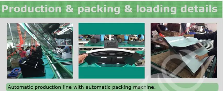 OEM Factory Wholesale Side Type Range Hood for Home Kitchen Chimney