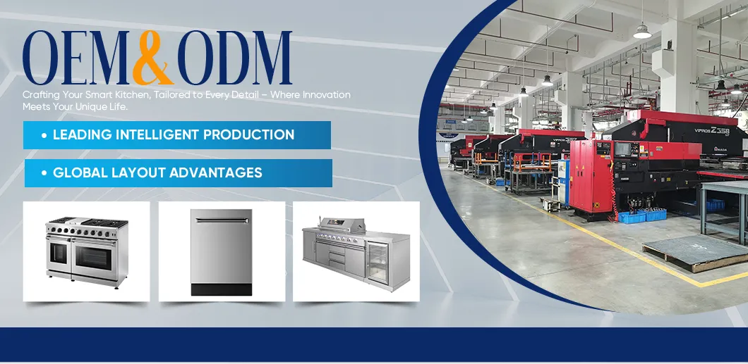 Multi-Functional 36" Gas Stove for Italian Restaurants