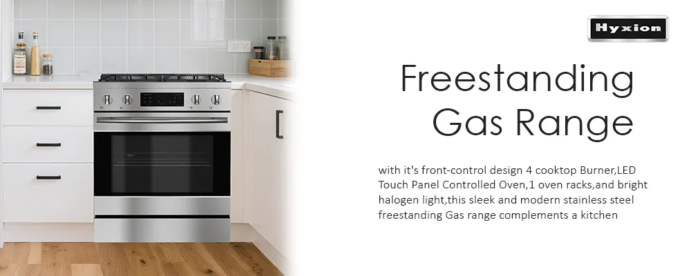 Hyxion Stainless Steel Natural Gas Range Stove