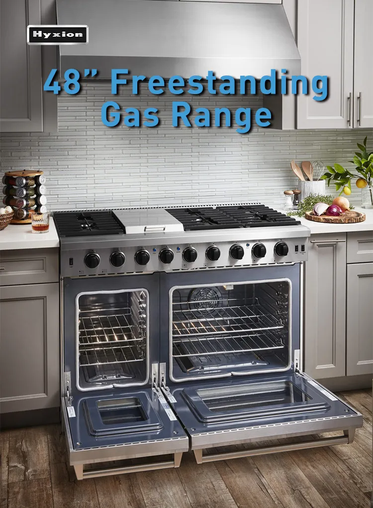 Wholesale 6 Burner and Griddle Gas Stove