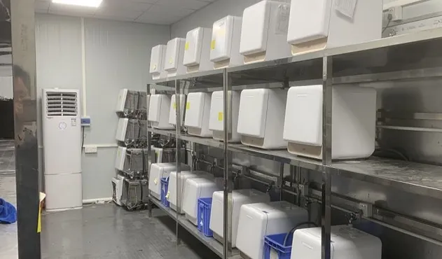 Compact Dishwasher Kitchen Equipment Washing Machine Dish Washer