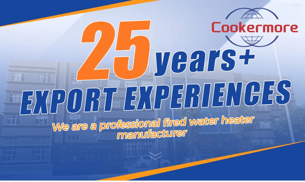 High Class Constant Temperature Forced Type Gas Water Heater