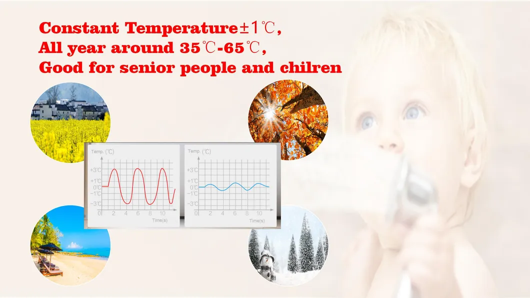 Energy-Efficient 10L 12L 13L Touch Screen LPG Gas Water Heater