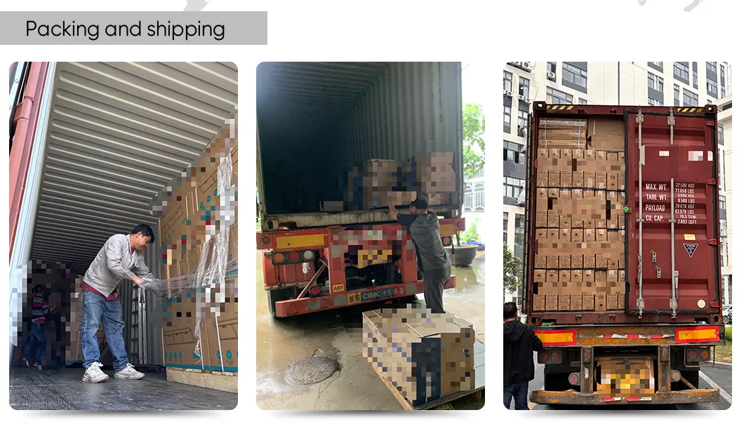 Reliable 6-12L Gas Hot Water Heater Copper Tank Flue Type Design Bulk Orders