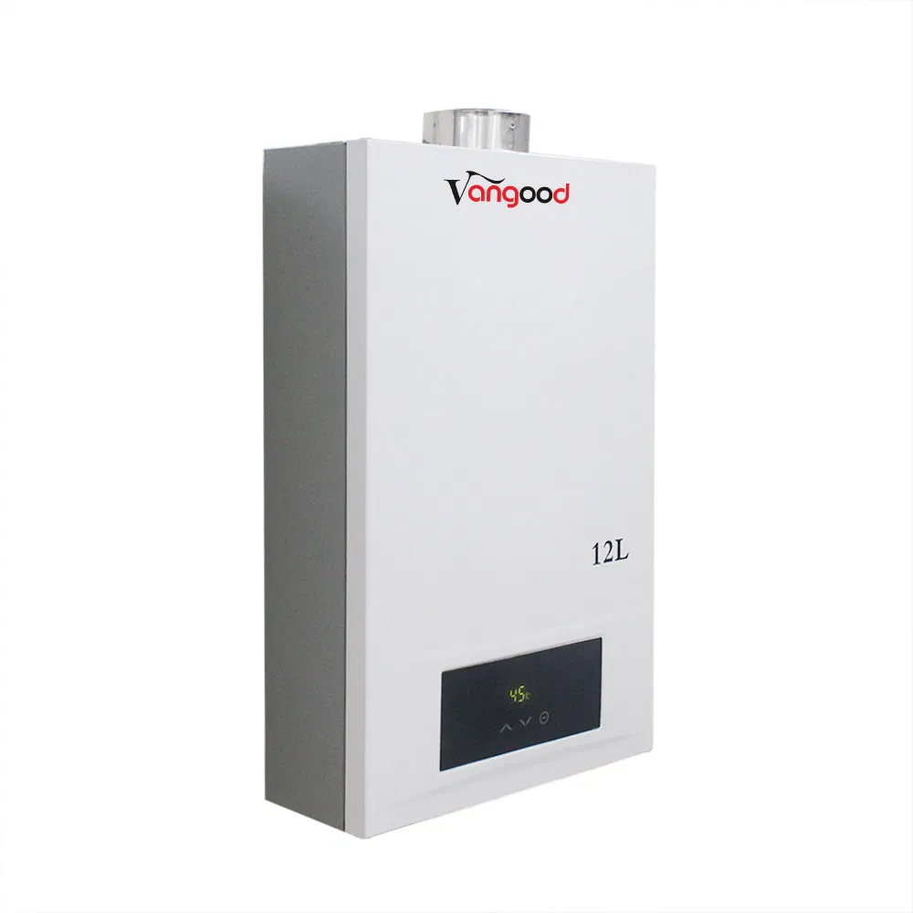 China OEM ODM 12L Gas Water Heater Boiler for Swimming Pool