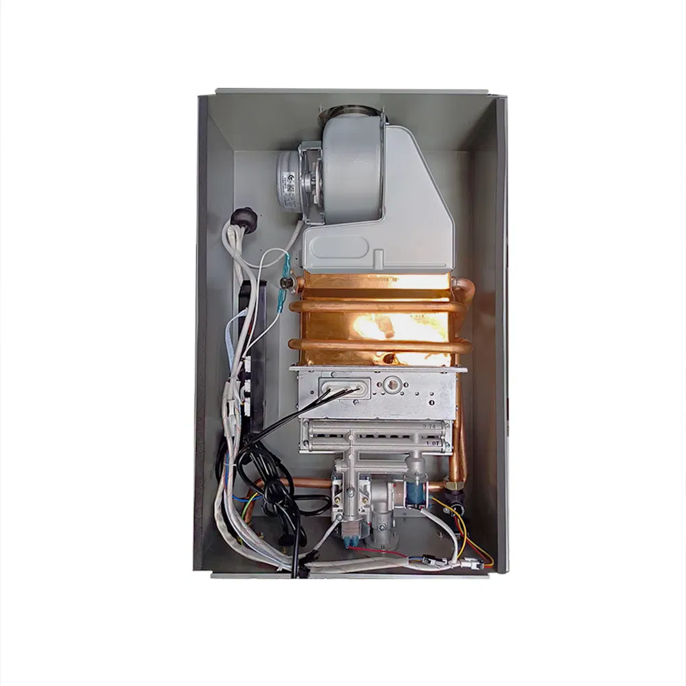 China OEM ODM 12L Gas Water Heater Boiler for Swimming Pool