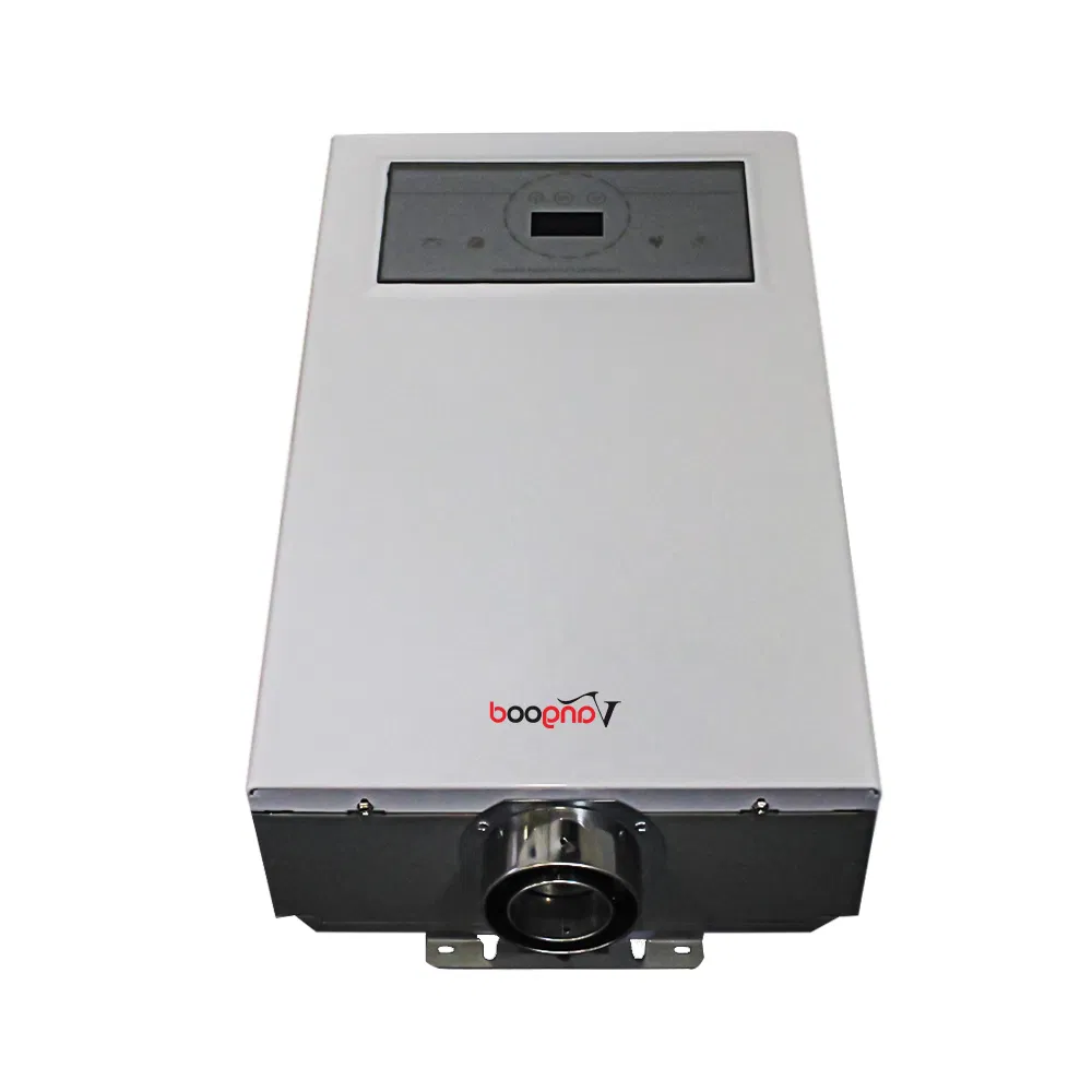 Constant Temperature Smart 12L LED Touch Panel Gas Water Heater