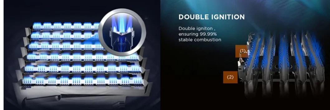 Golden Supplier Instant Tankless LPG Natural Gas Water Heater for Home