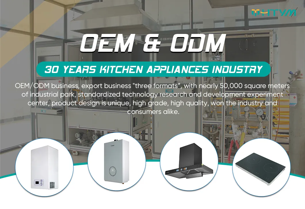 Touch Control and Energy Efficiency Factory OEM Intelligence Gas Water Heater