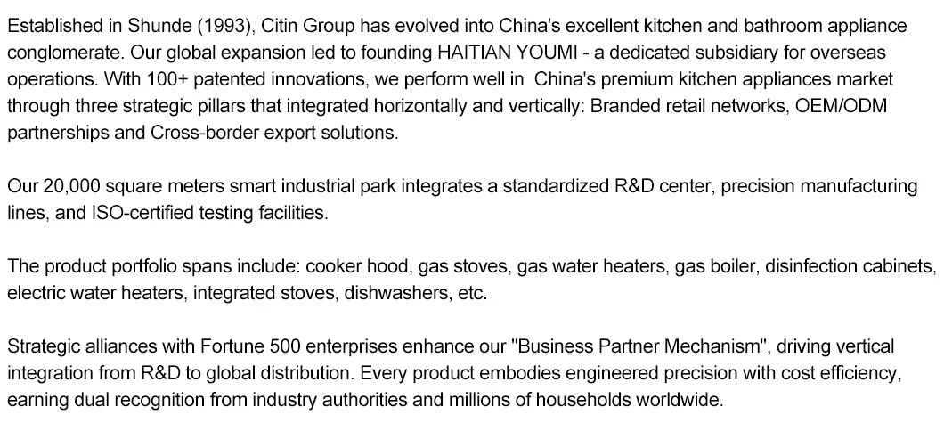 Touch Control and Energy Efficiency Factory OEM Intelligence Gas Water Heater