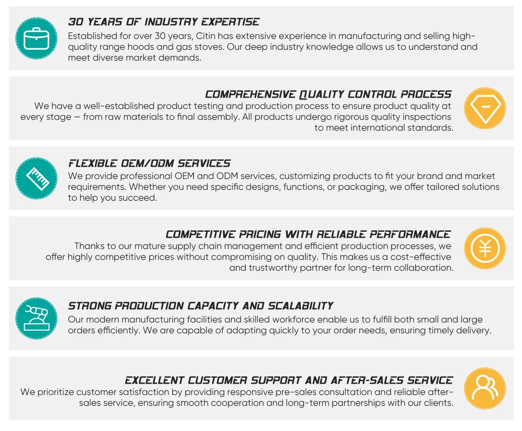 Touch Control and Energy Efficiency Factory OEM Intelligence Gas Water Heater