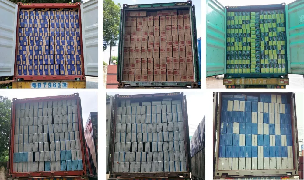 Chile Forced Type Gas Water Heater Bathroom Shower RV Sauna SPA