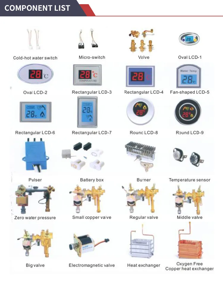 Chile Forced Type Gas Water Heater Bathroom Shower RV Sauna SPA