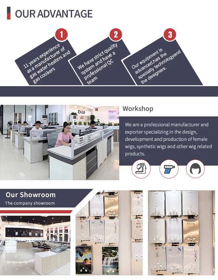 Chile Forced Type Gas Water Heater Bathroom Shower RV Sauna SPA