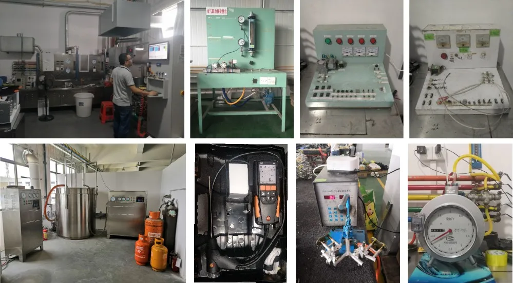 Chile Forced Type Gas Water Heater Bathroom Shower RV Sauna SPA