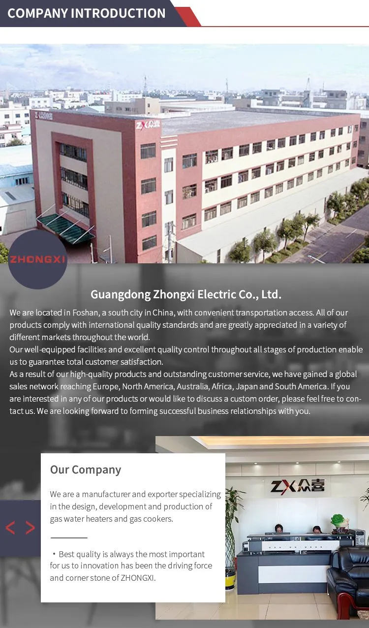 Chile Forced Type Gas Water Heater Bathroom Shower RV Sauna SPA