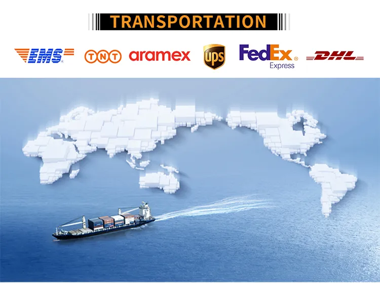 CE Certified 8L 10L 12L Kitchen Constant Temperature Control Gas Water Heater