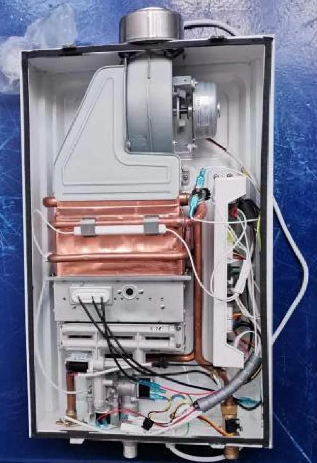 CE Certified 8L 10L 12L Kitchen Constant Temperature Control Gas Water Heater