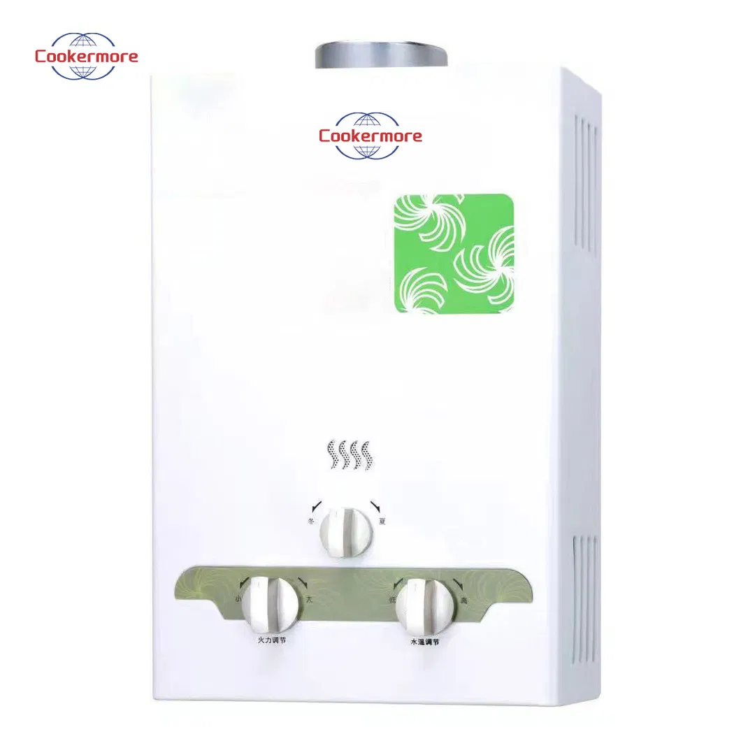 Middle East Turkey Wholesale Brand Instant 12L Gas Water Heater Shower Price