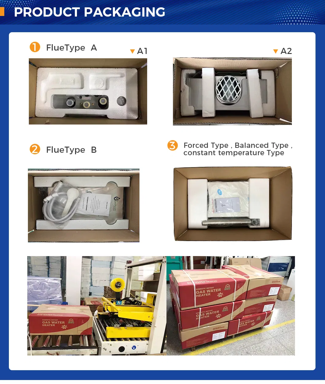 Flue Type 6L Wall Mounted Tankless Instant LPG/Ng Gas Water Heater