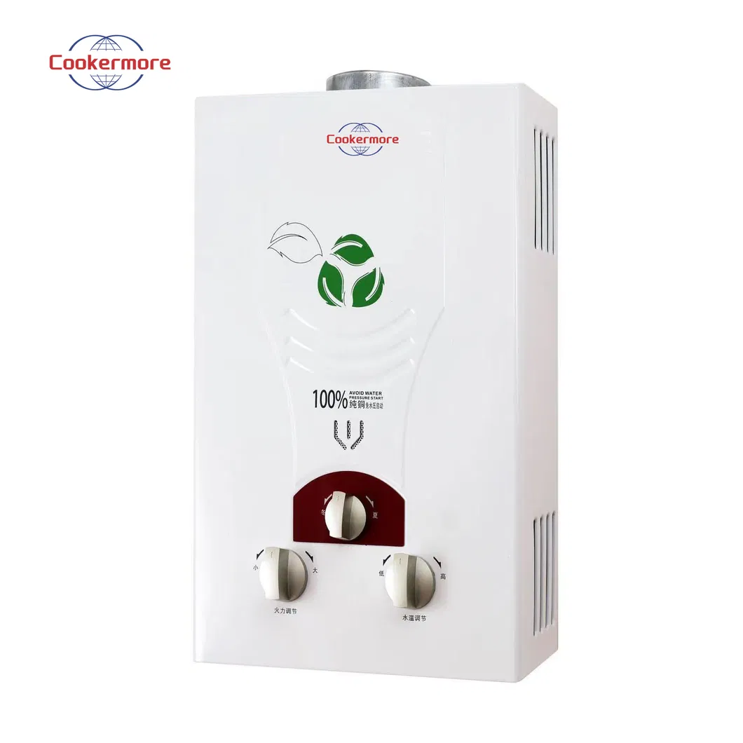 Flue Type 6L Wall Mounted Tankless Instant LPG/Ng Gas Water Heater