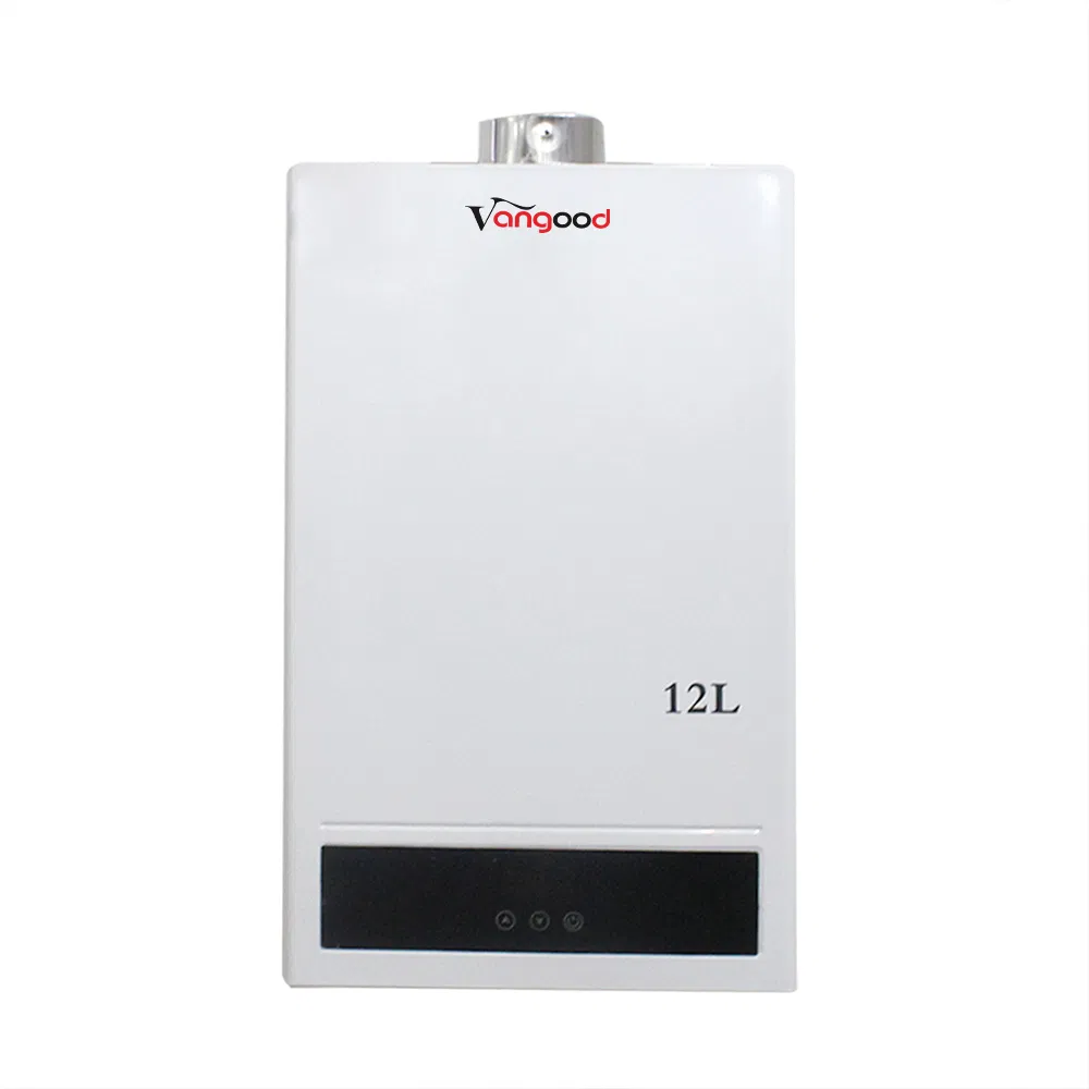 Customize Instantant Balance Digital Gas Water Heater with Double Pipe