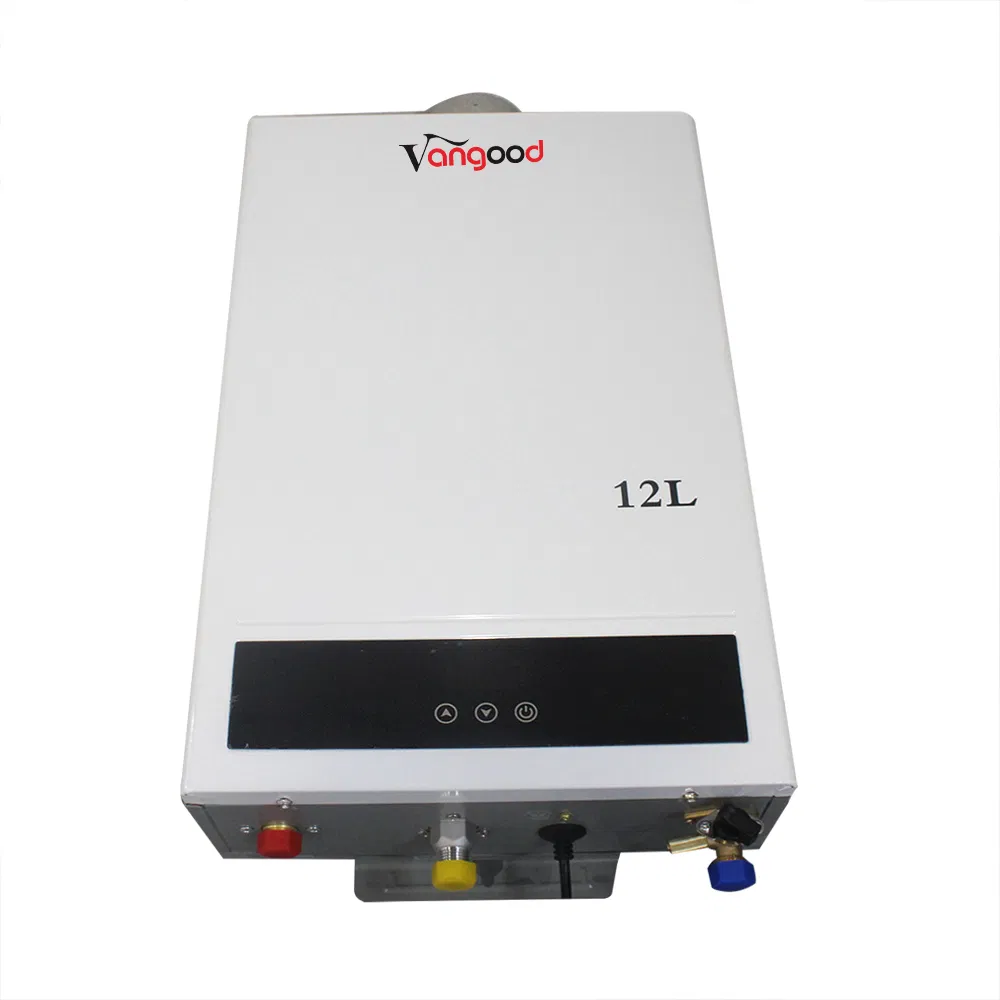 Customize Instantant Balance Digital Gas Water Heater with Double Pipe