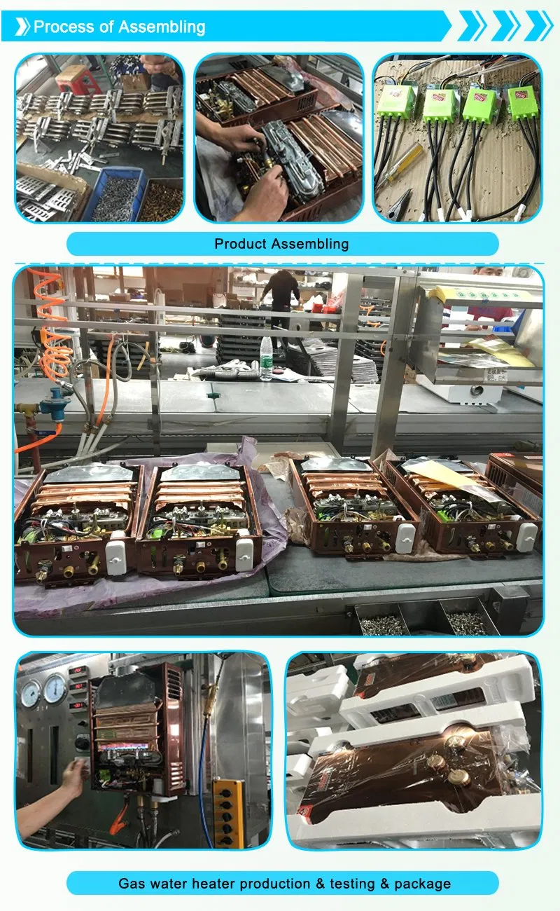 6 Liter Domestic Spare Parts Gas Geyser