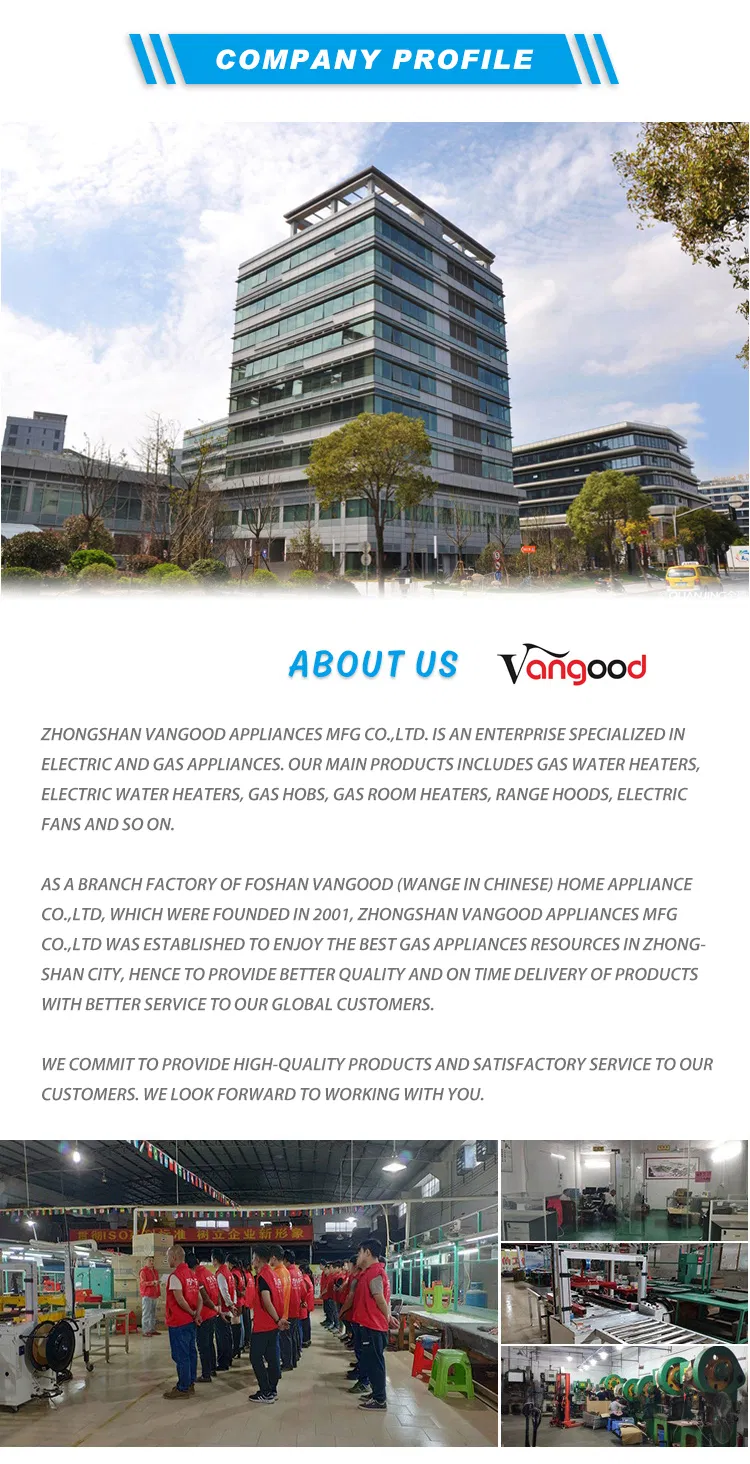 Design Competitive Price Flueless Commercial Natural Gas Water Heater