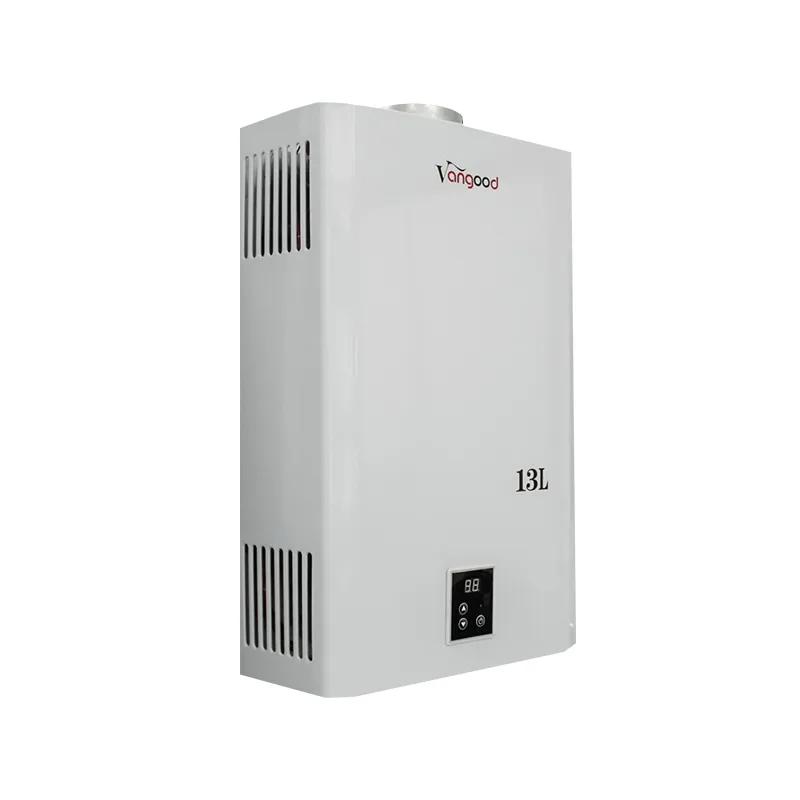 Factory Custom Smart Indoor Gas Water Heater CE Certified Constant Temperature Balanced Exhaust Electric WiFi APP Control