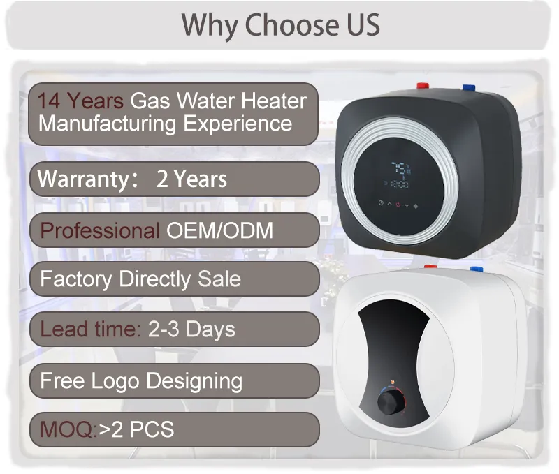 6L 8L 10L 2.5 Gallon 1500W 220V Mini Electric Water Heater Shower Low Price Electric Water Heater Manufacturer