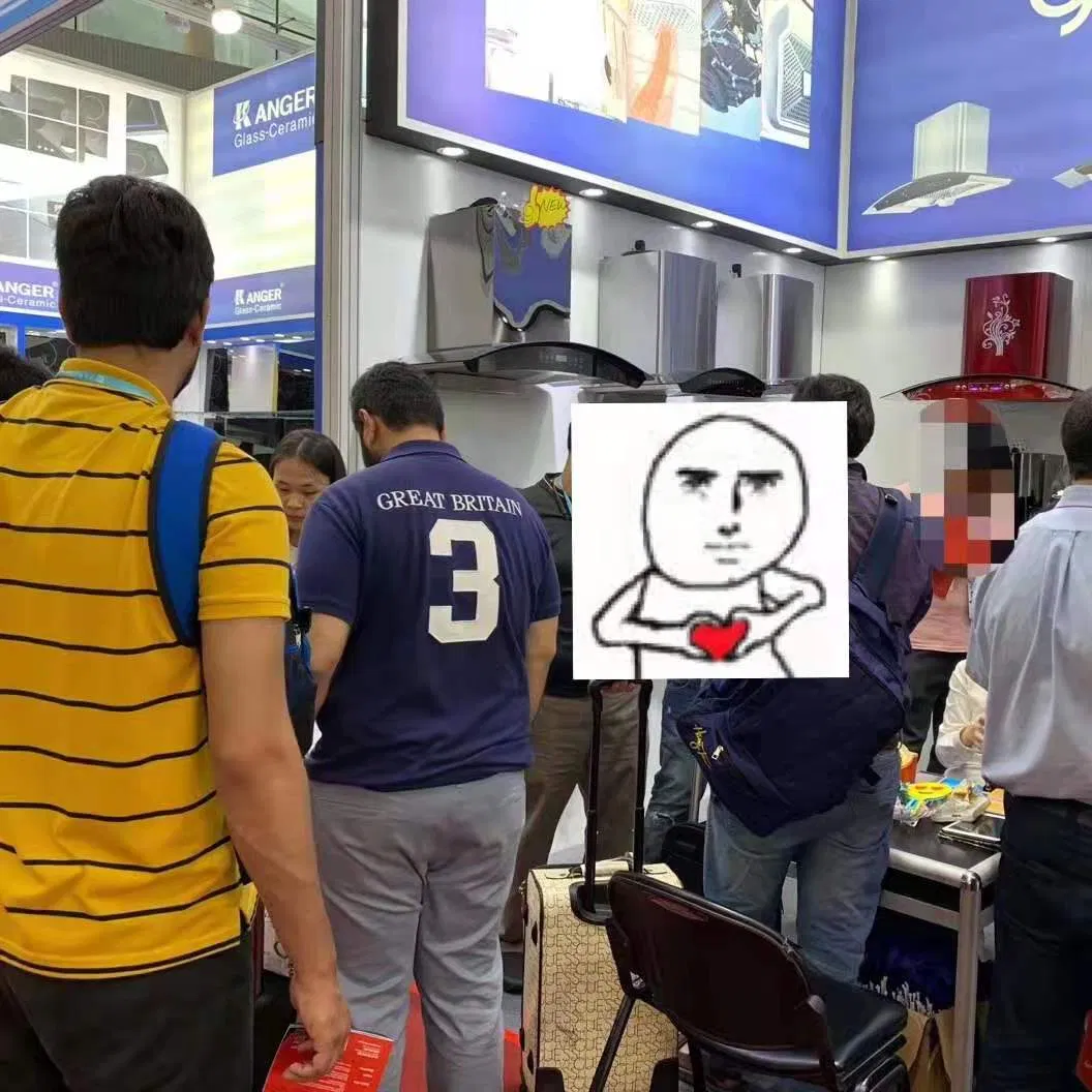 Wall-Mounted Natural Gas Water Heater with Membrane Technology