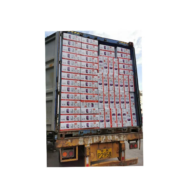 Wall-Mounted Natural Gas Water Heater with Membrane Technology