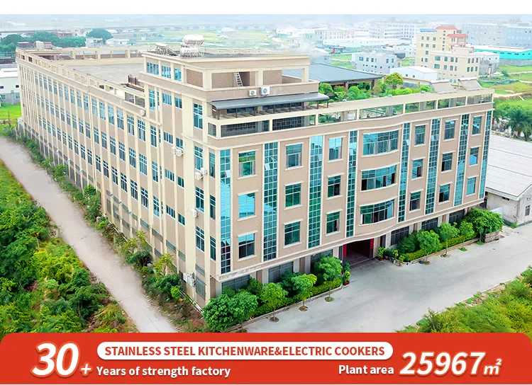 Kaiershi Jjd-32D Double Layer Multi Function Electric Cooking Pot