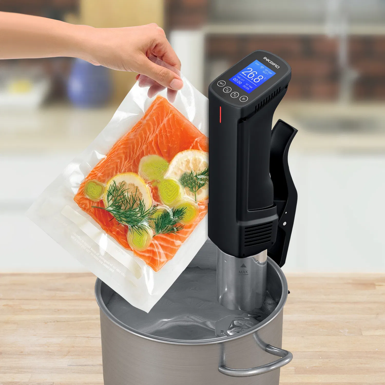 Inkbird Isv-100W APP Control Easy to Use Sous Vide Cooker