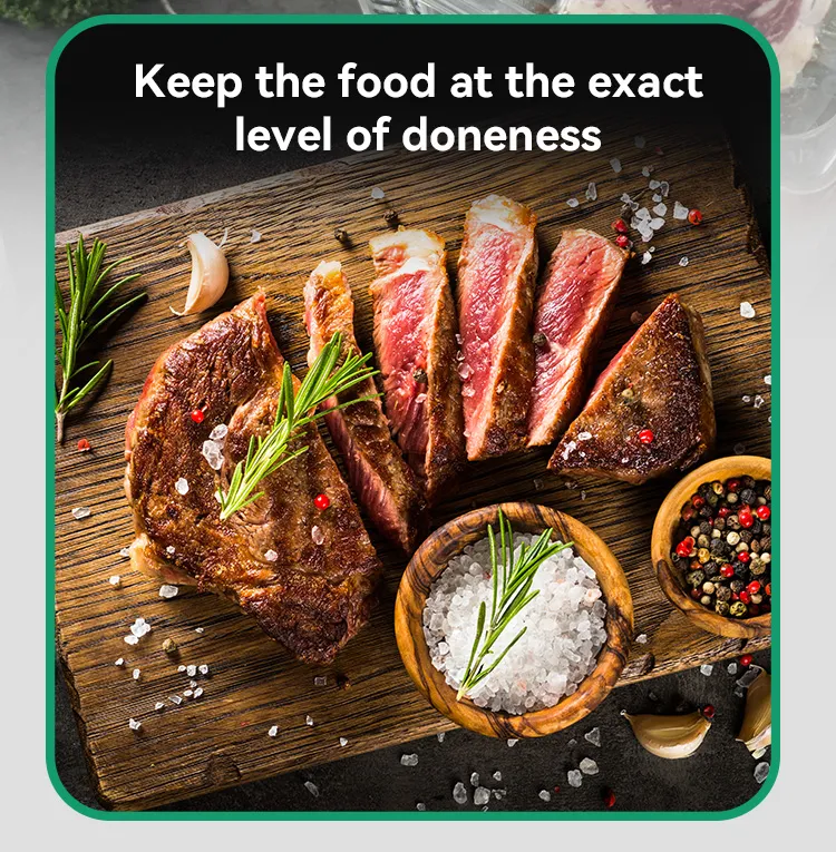 Sv84s Sous Vide Cooker with Big Power