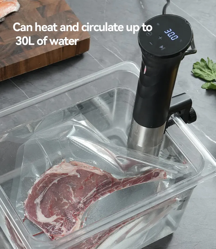 Sv84s Sous Vide Cooker with Big Power